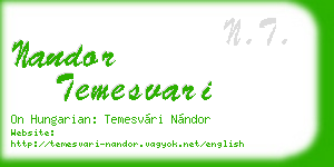 nandor temesvari business card